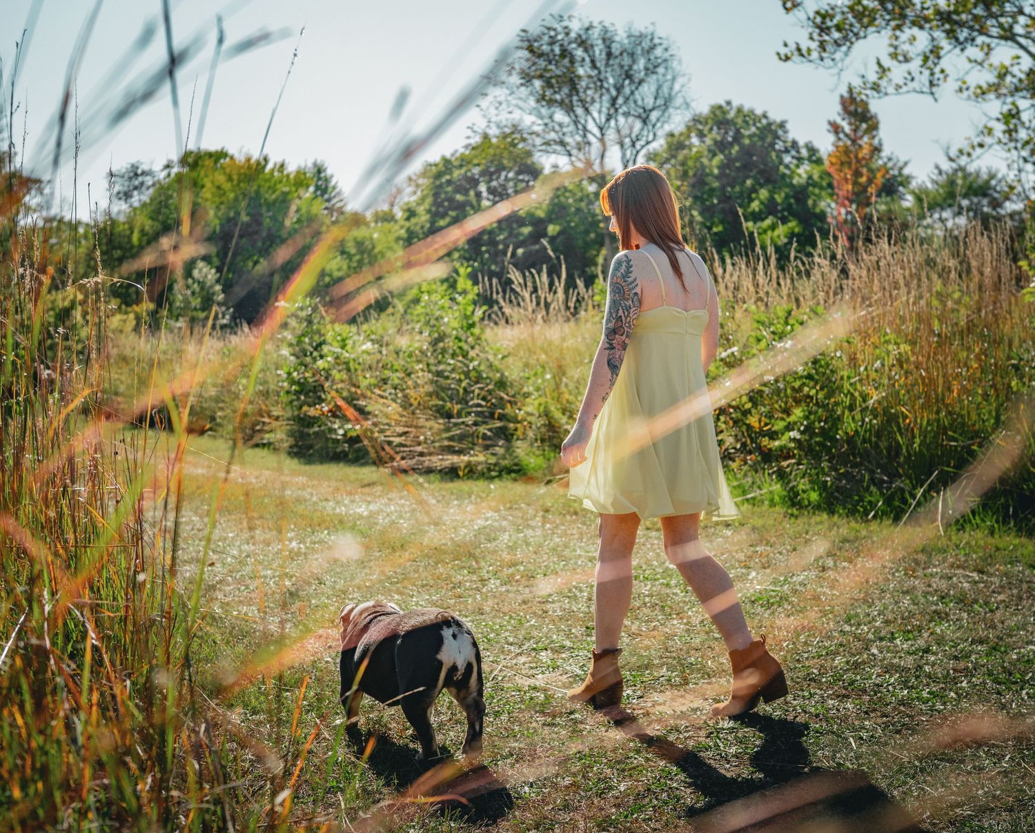Pet and family photography