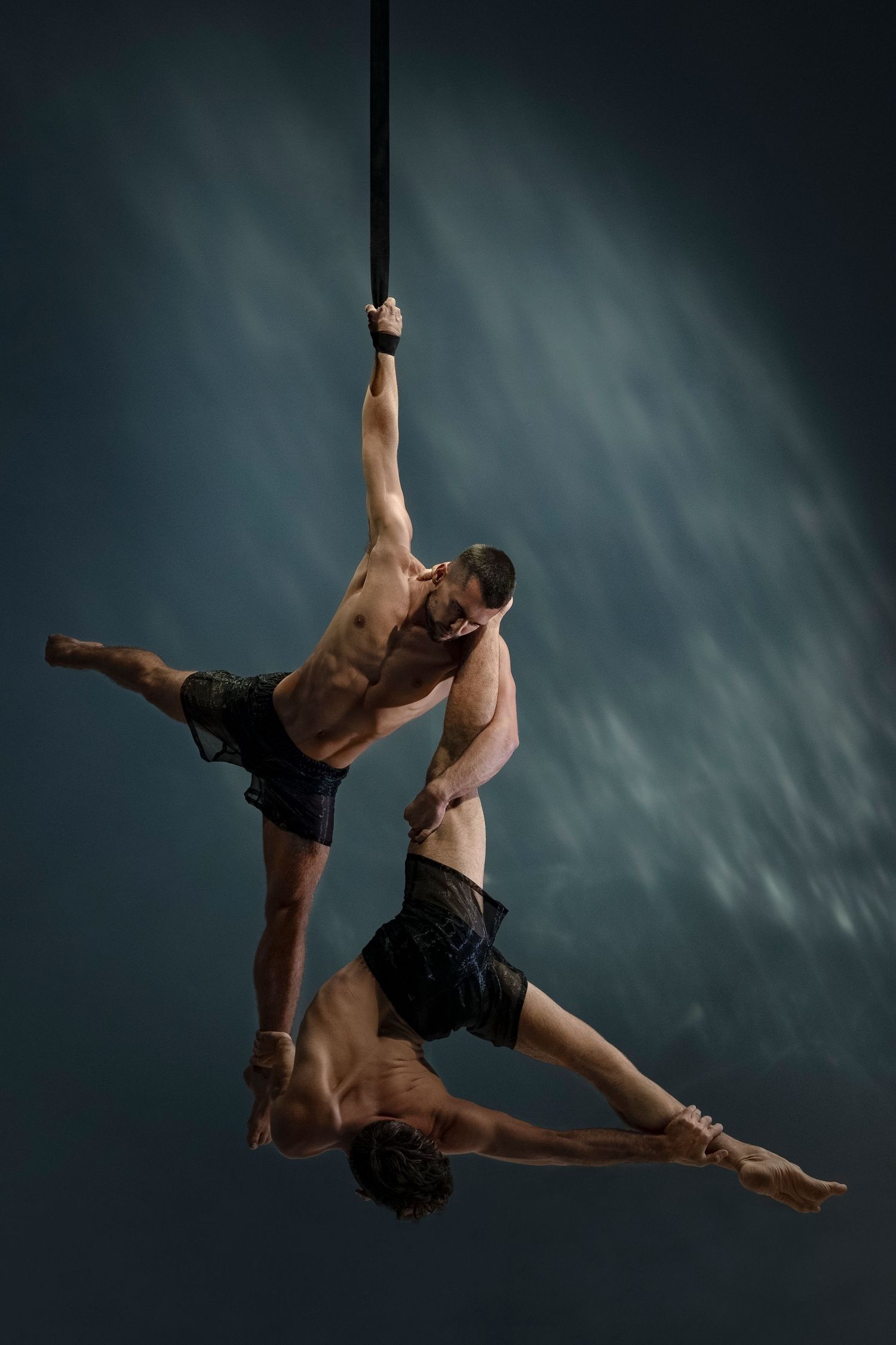 Four dynamic aerial dance poses show a performer gracefully suspended from a single rope against a dark backdrop.