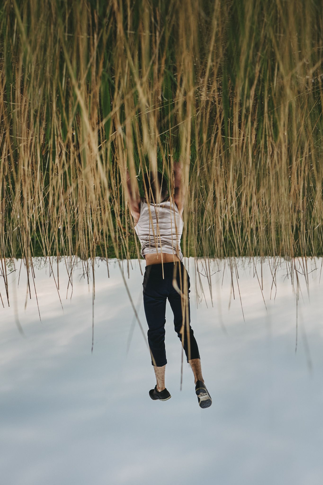 Legs dangling upside down against a snowy backdrop with tall dried reeds creating a natural frame in winter.