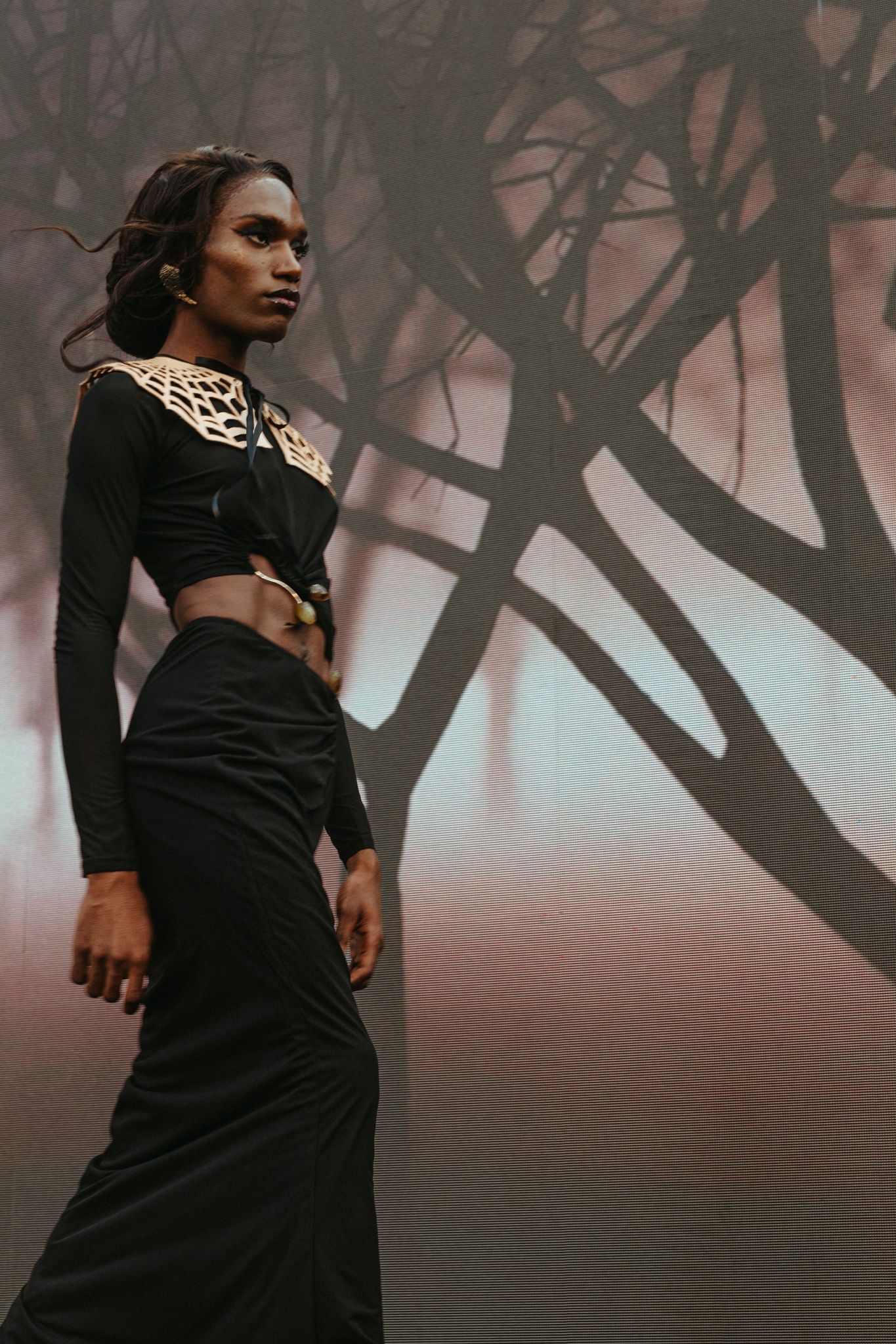 A figure in a black dress stands in silhouette against a misty backdrop with bare tree branches.