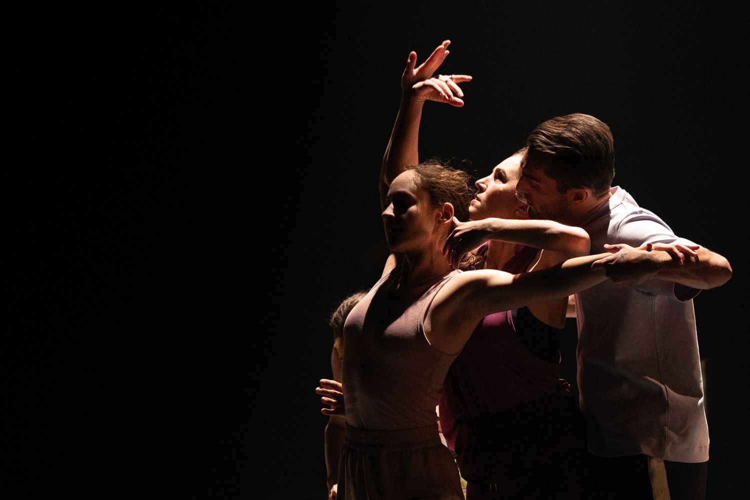 Dramatic black and white photographs show dancers performing expressive contemporary dance movements on stage.