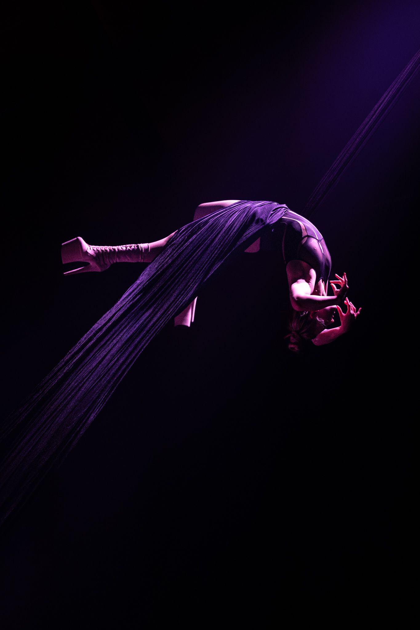 Dramatic dance performance silhouetted in purple lighting against dark background.