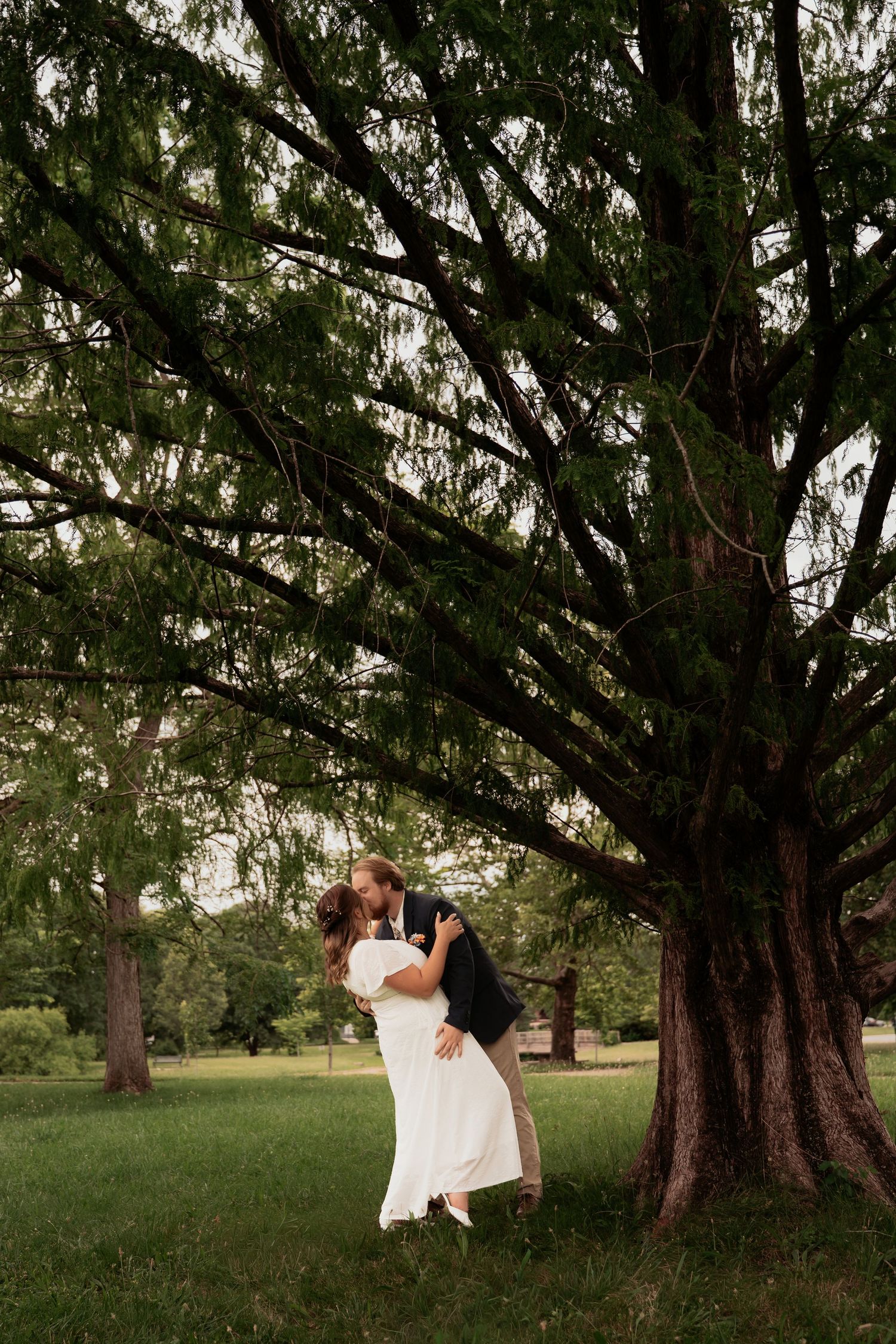 Couple sharing a romantic kiss under a large weeping tree on green grass in an outdoor wedding photo.