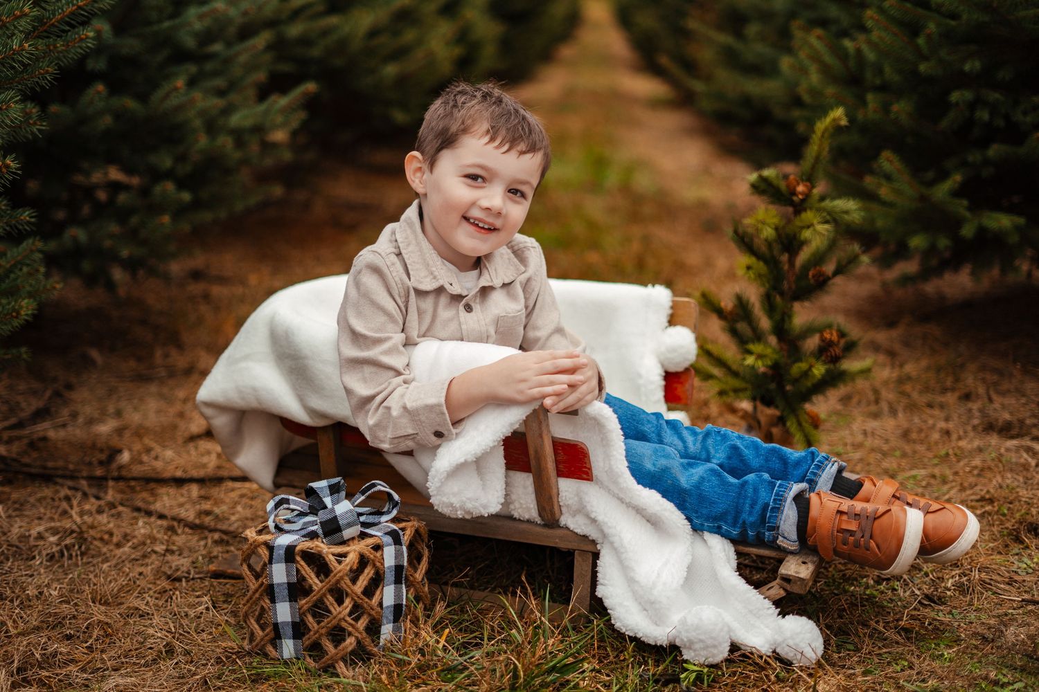 Playful portrait session of child on brown pine needle covered ground.