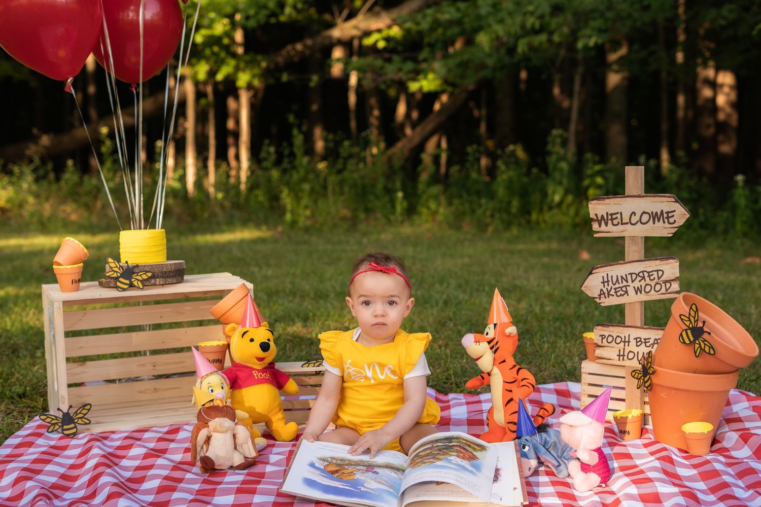 A picnic setup with red checkered tablecloth, toys, and decorative items outdoors.