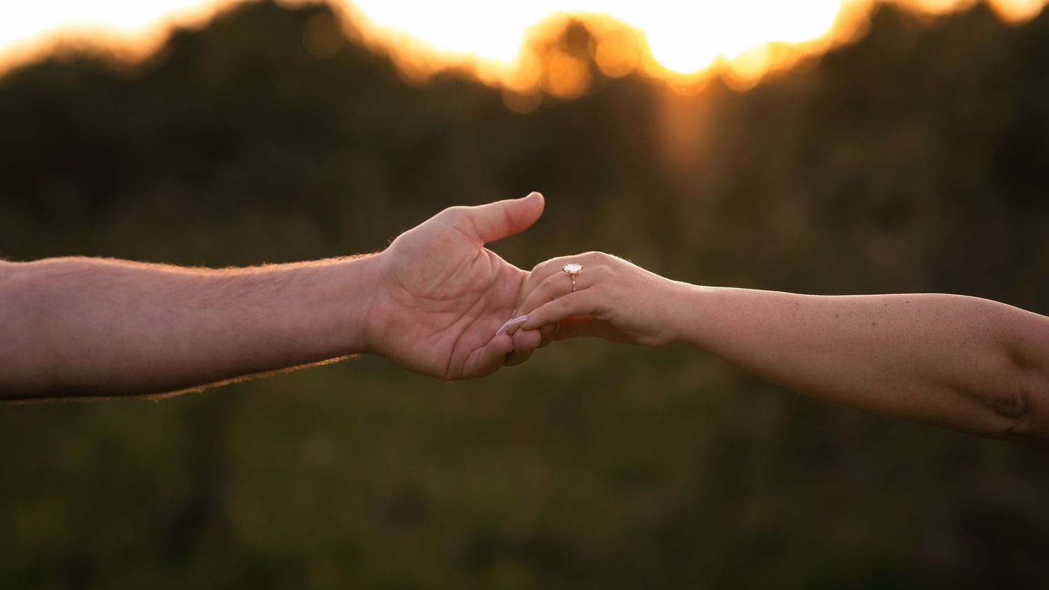 Two hands gently reaching toward each other at sunset with a blurred green forest background.