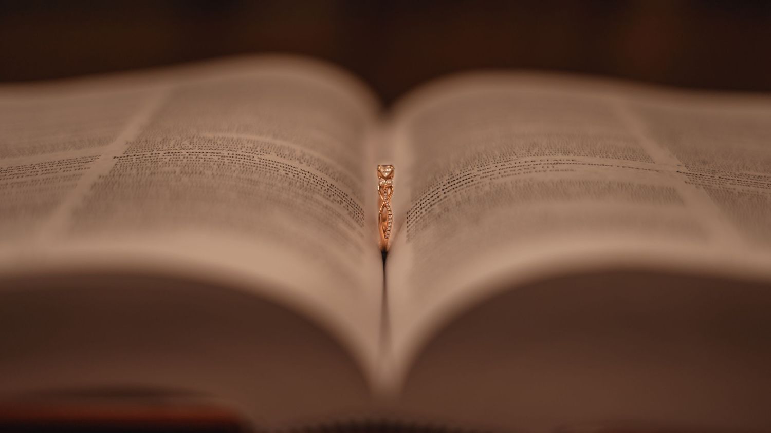 Open book pages with soft focus create an artistic blurred background texture.