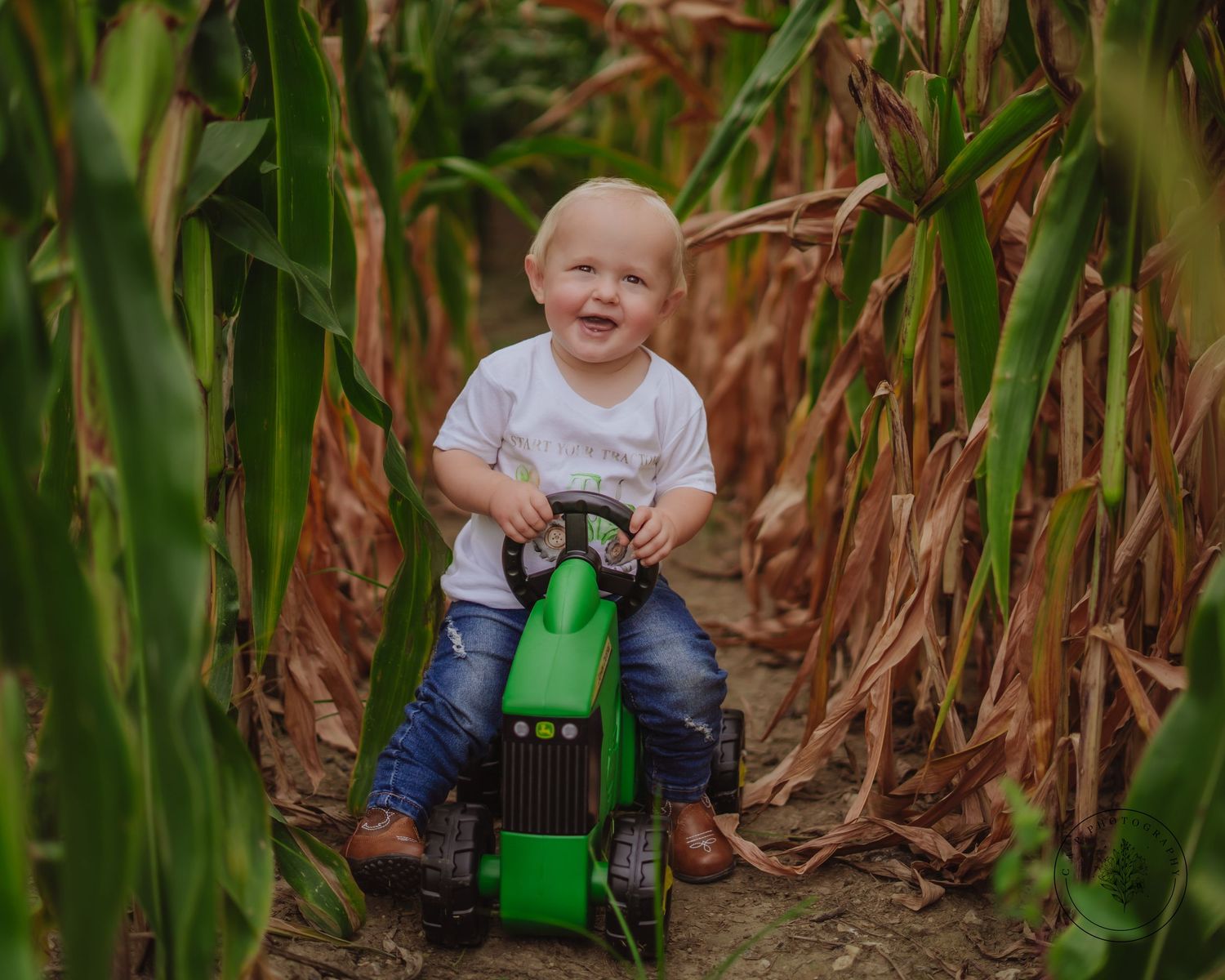A green toy tractor sits among tall corn stalks in a rustic farm setting.
