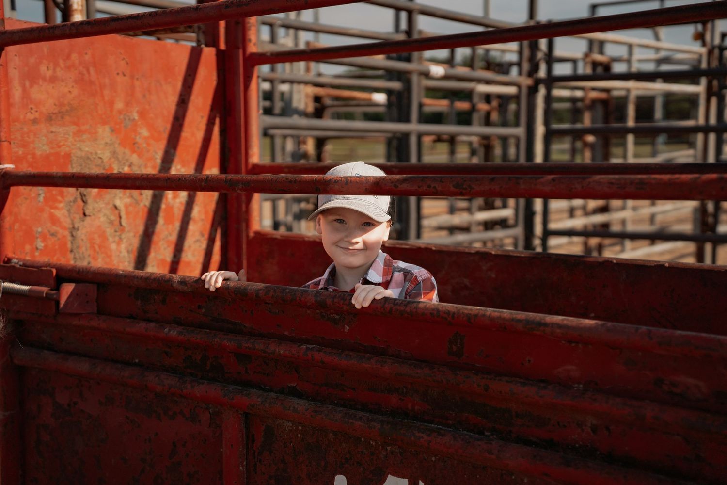 Young child in a plaid shirt and cap peers over a red metal fence at a cattle ranch stockyard.