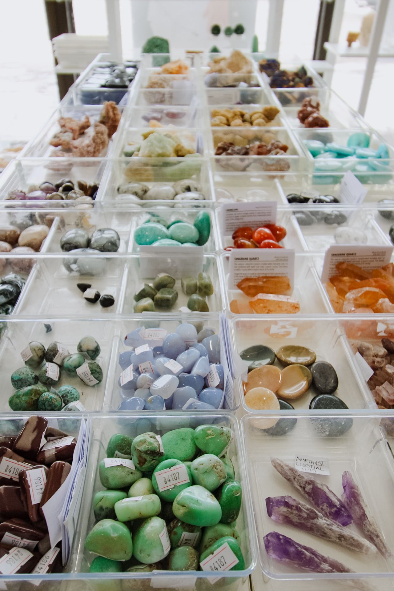 Various colorful healing crystals and gemstones displayed in organized clear plastic compartments at a mineral shop.