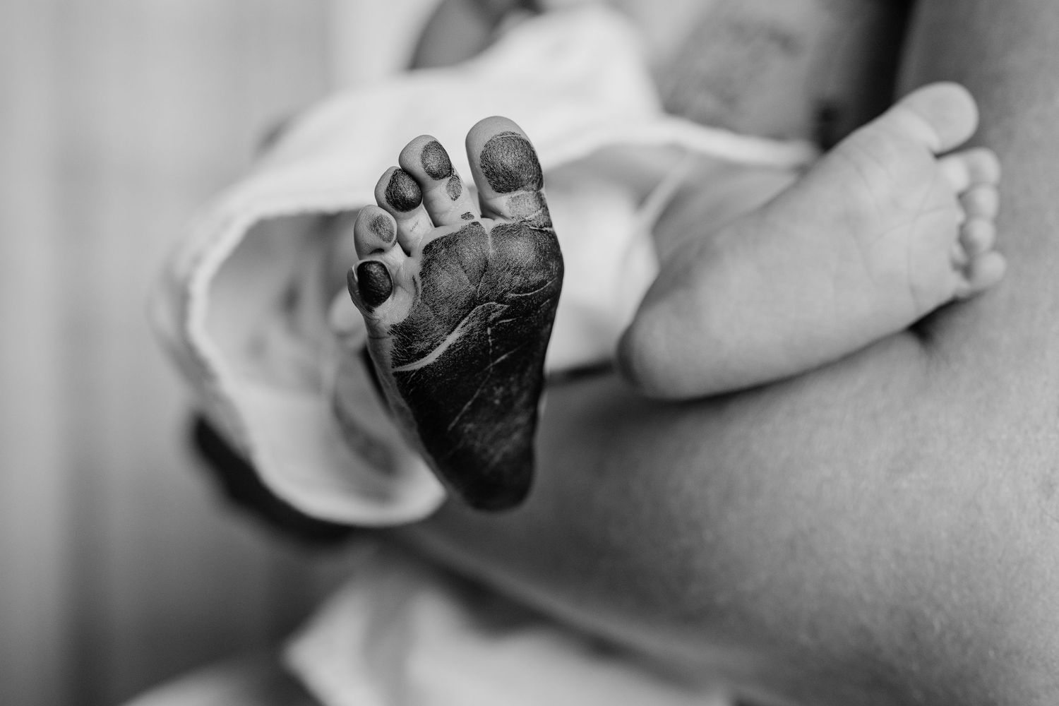 Close-up black and white photo of newborn baby's tiny feet.