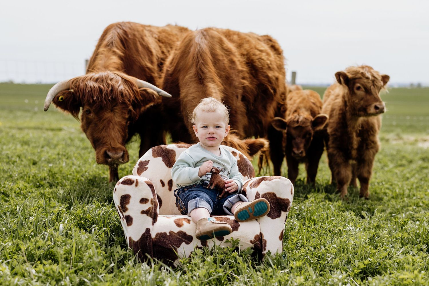 Child sitting in grassy field with large brown cows grazing in the background.