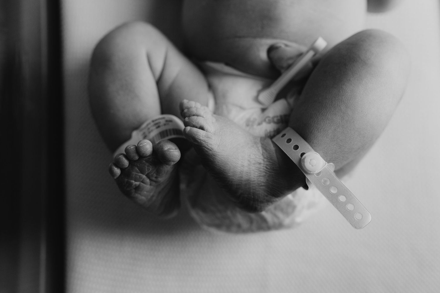 Black and white image of tiny newborn hands being gently held.