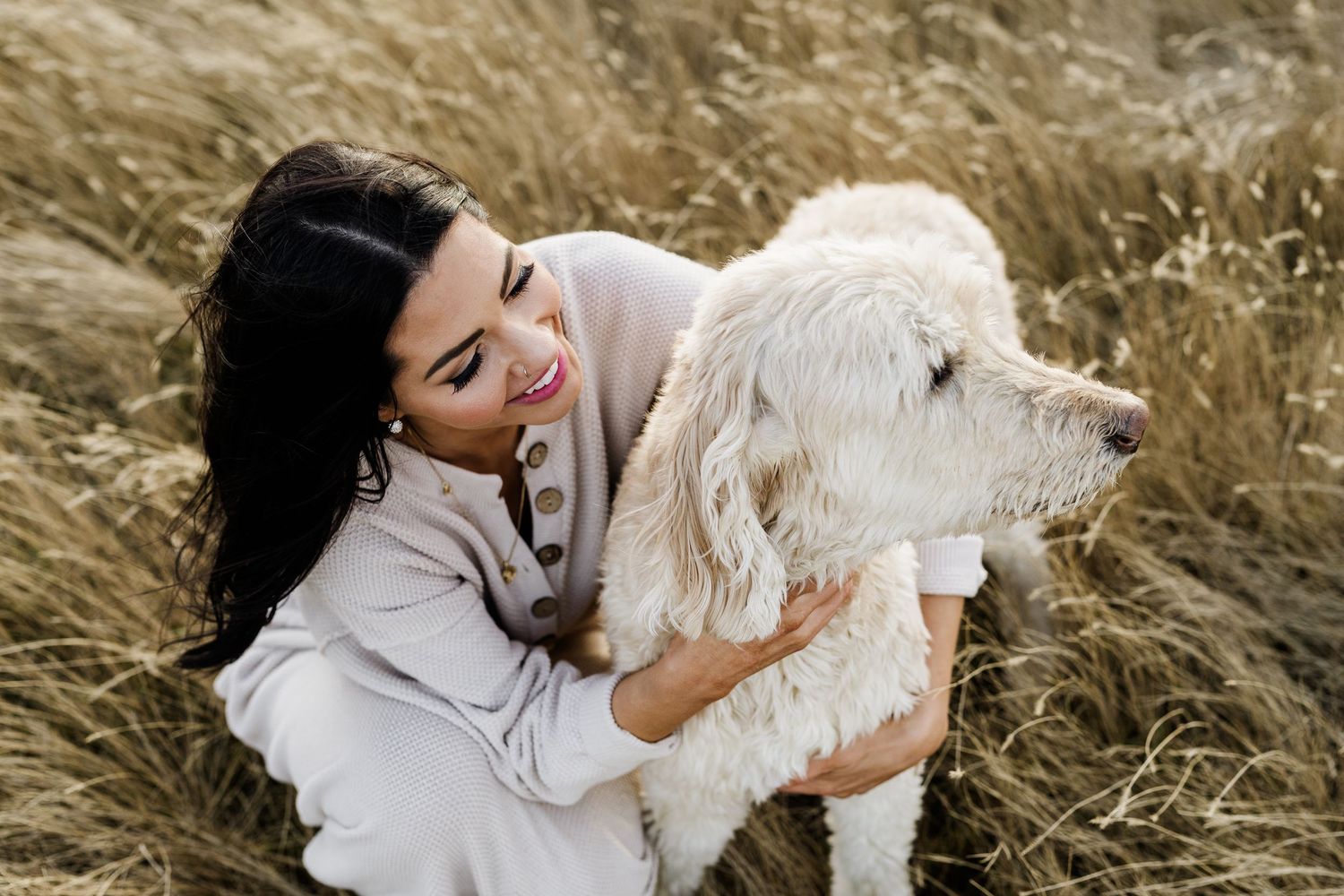 White dog playing and cuddling in a golden wheat field.