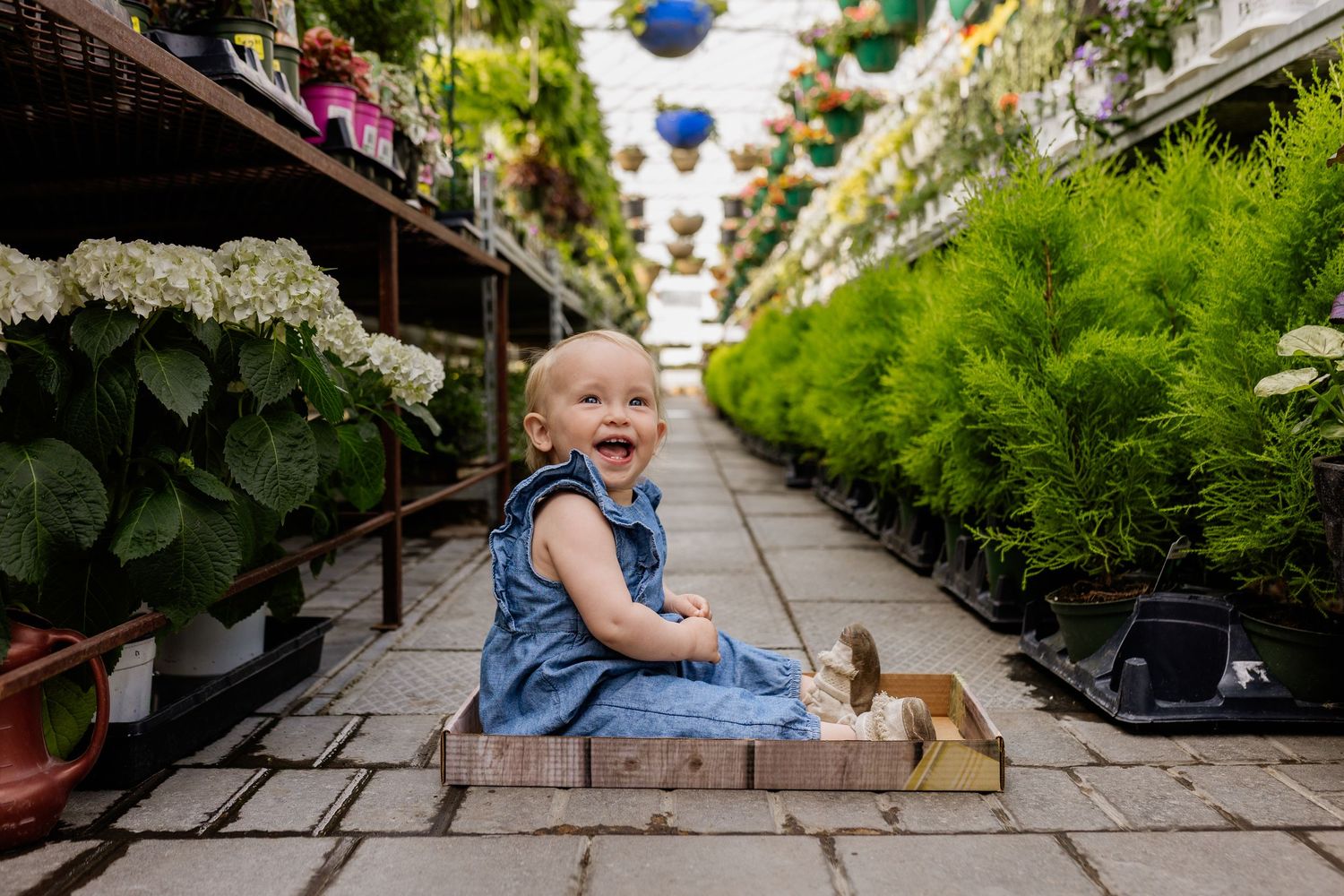 Child exploring greenhouse filled with plants and hanging decorations.