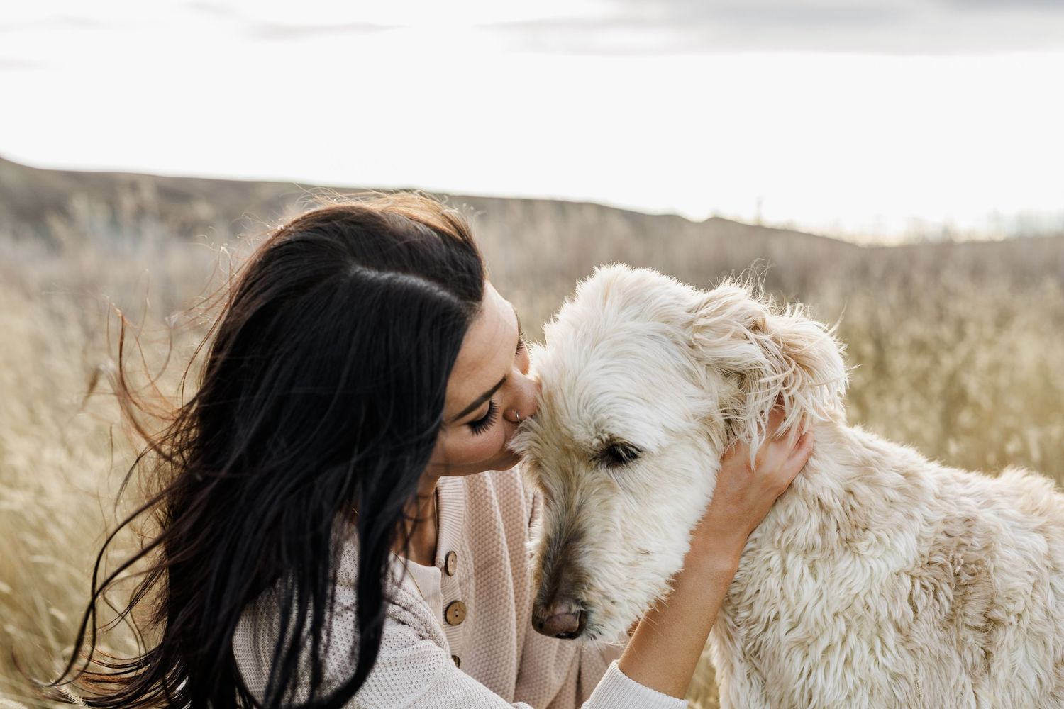 White dog and person sharing tender moment in field.