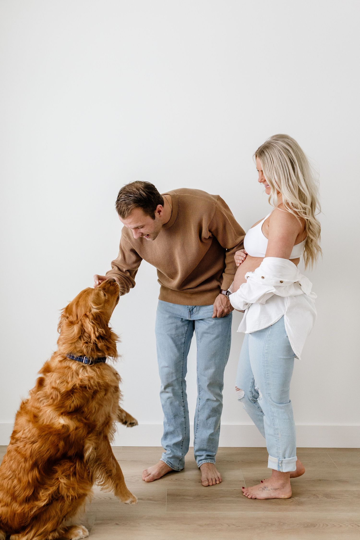 A golden retriever dog interacts lovingly with a couple in casual clothing against a white wall.