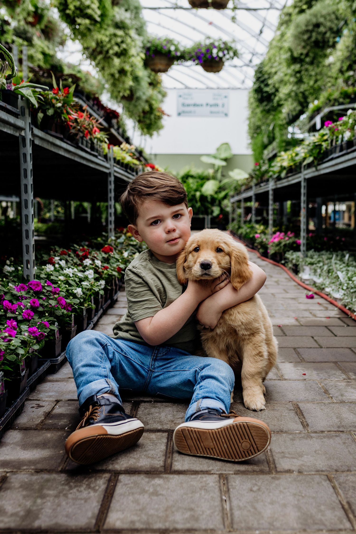 A puppy cuddles up on a garden pathway surrounded by hanging plants and flowers.