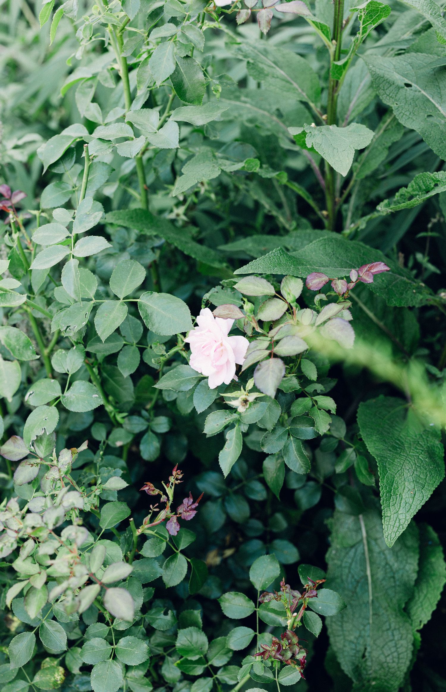 Devon wedding photographer | Cornwall wedding photographer | Dorset wedding photographer | Somerset wedding photographer