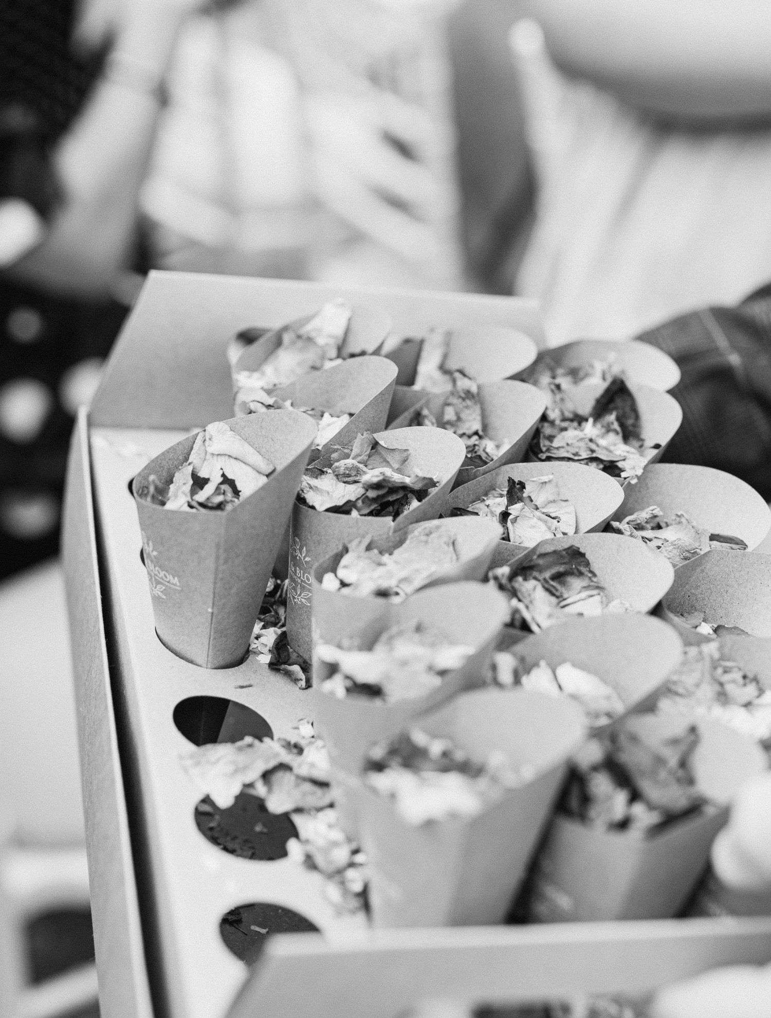 Wedding photographer Cornwall | wedding photographer Devon | Devon wedding photographer | Cornwall wedding photographer