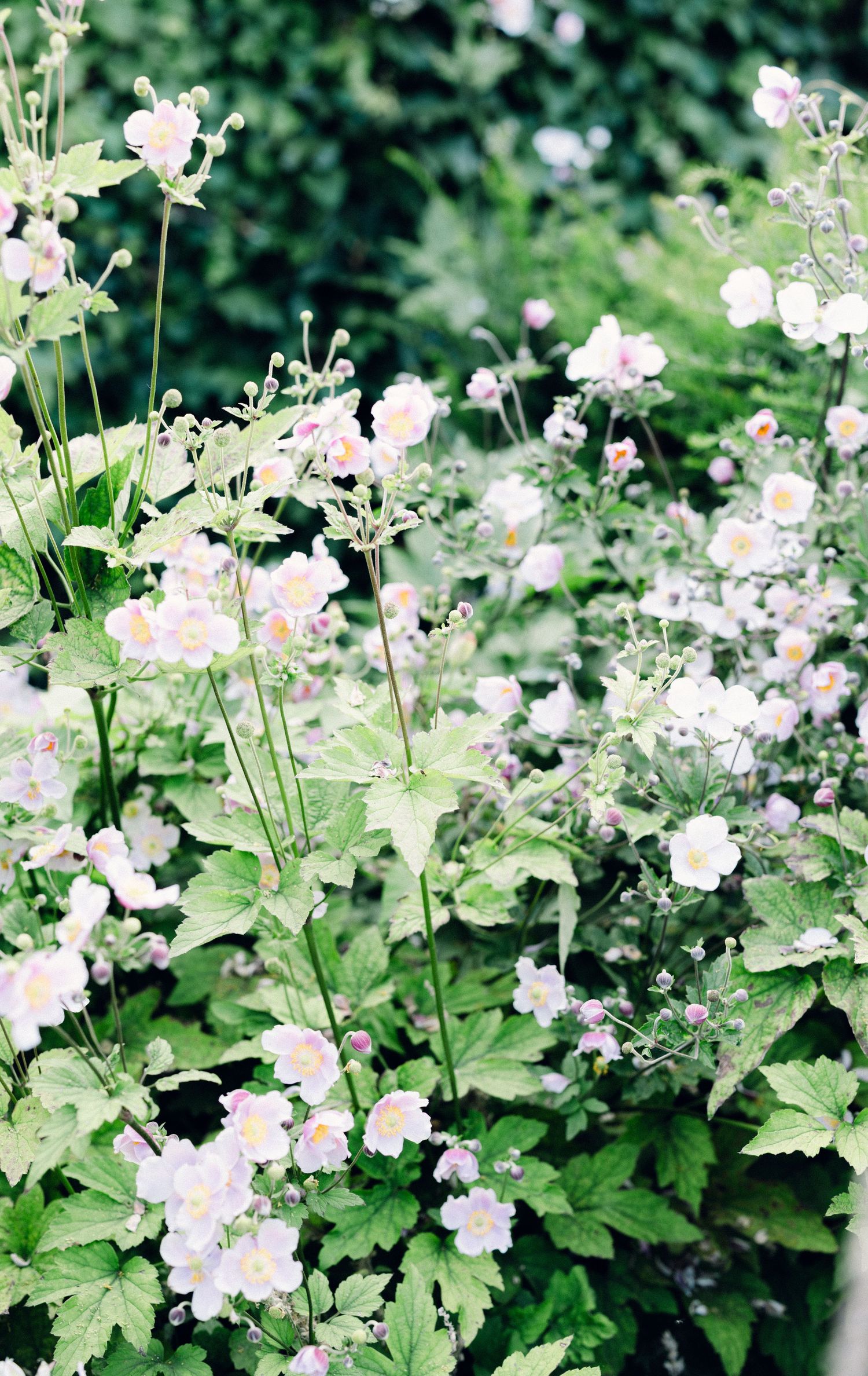 Devon wedding photographer | Cornwall wedding photographer | Dorset wedding photographer | Somerset wedding photographer