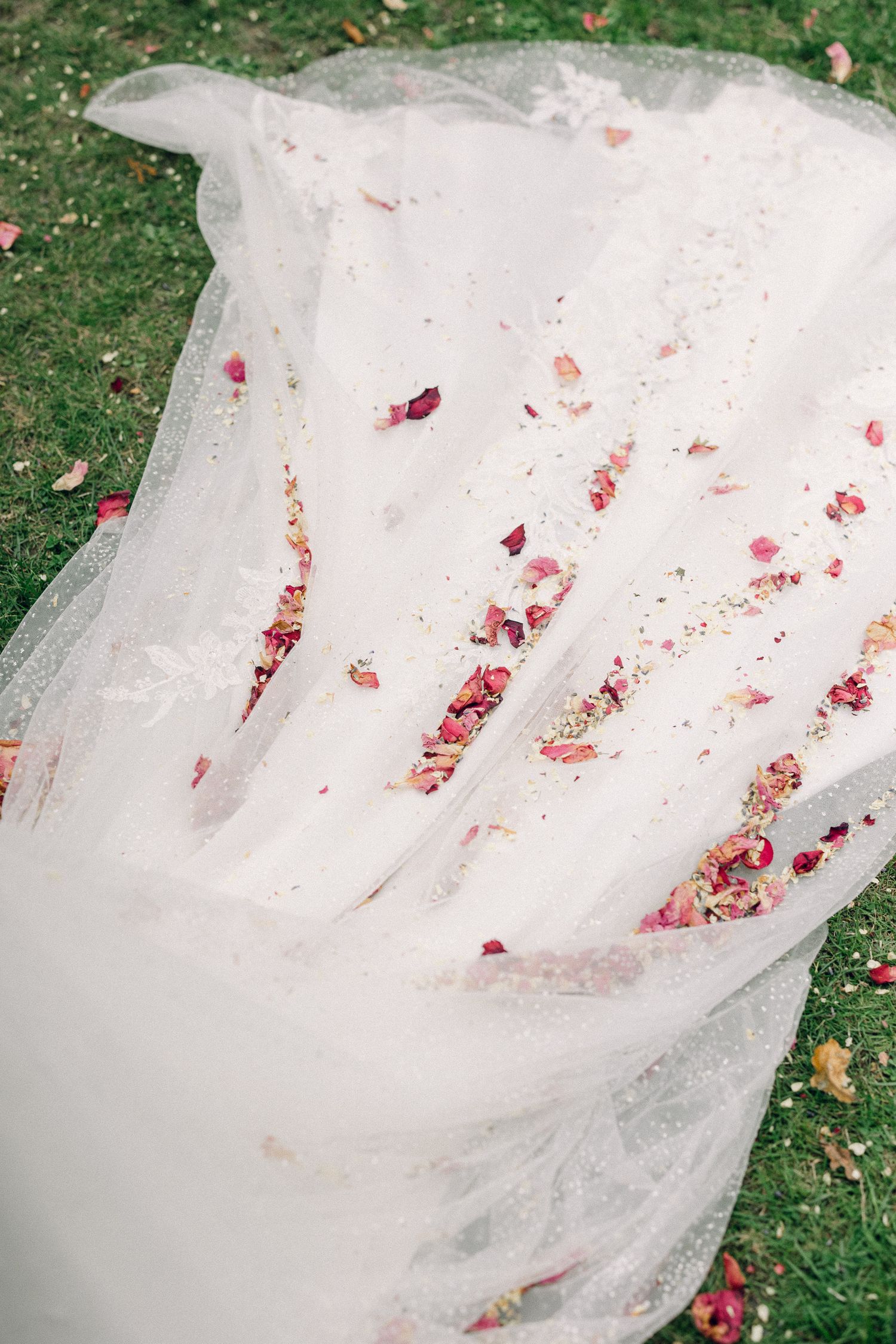 Wedding photographer Cornwall | wedding photographer Devon | Devon wedding photographer | Cornwall wedding photographer
