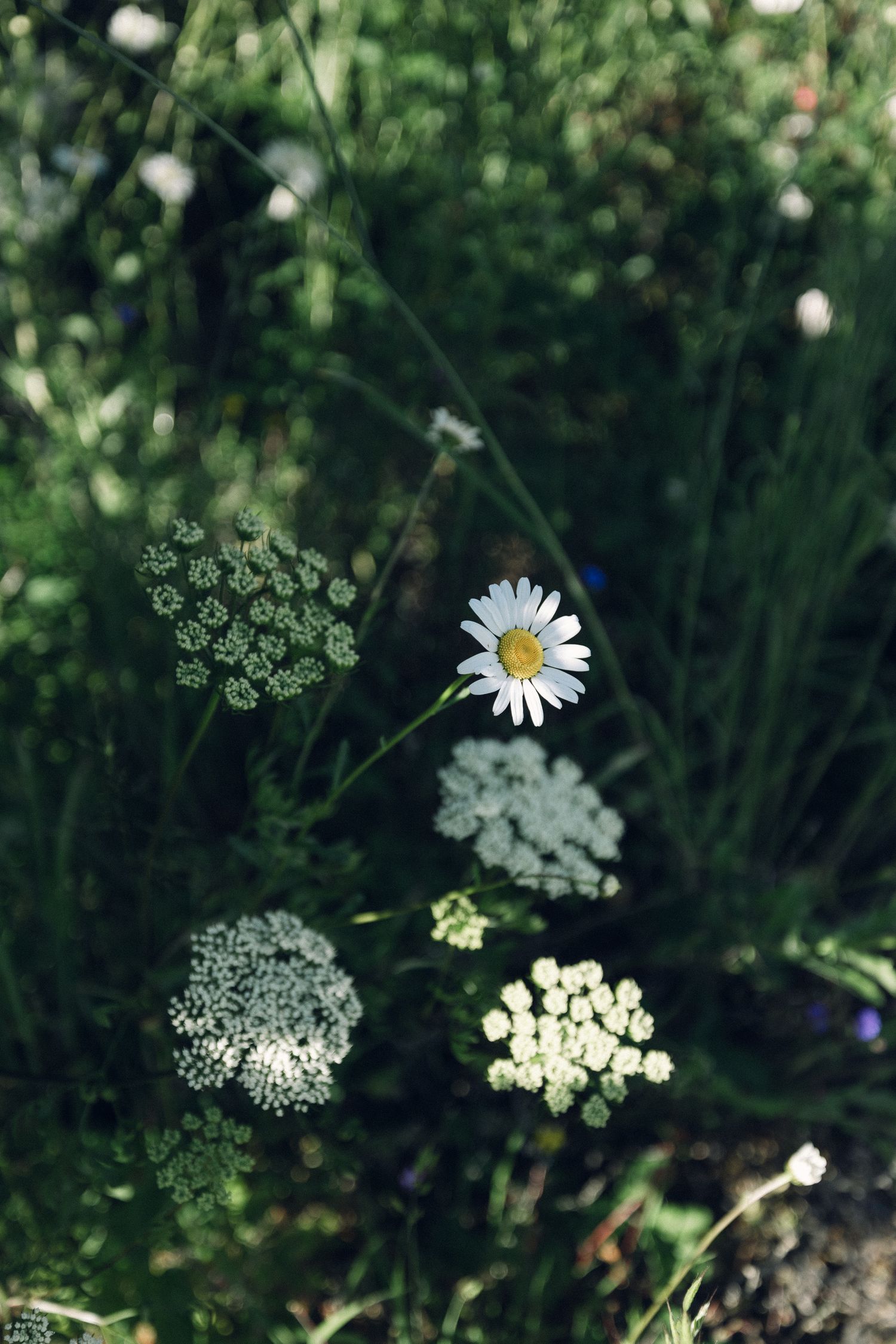 Wedding photographer Cornwall | wedding photographer Devon | Devon wedding photographer | Cornwall wedding photographer