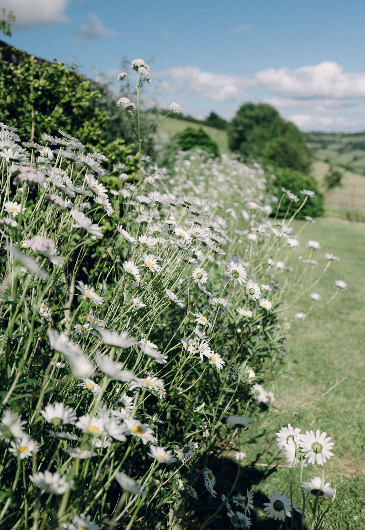 Wedding photographer Cornwall | wedding photographer Devon | Devon wedding photographer | Cornwall wedding photographer