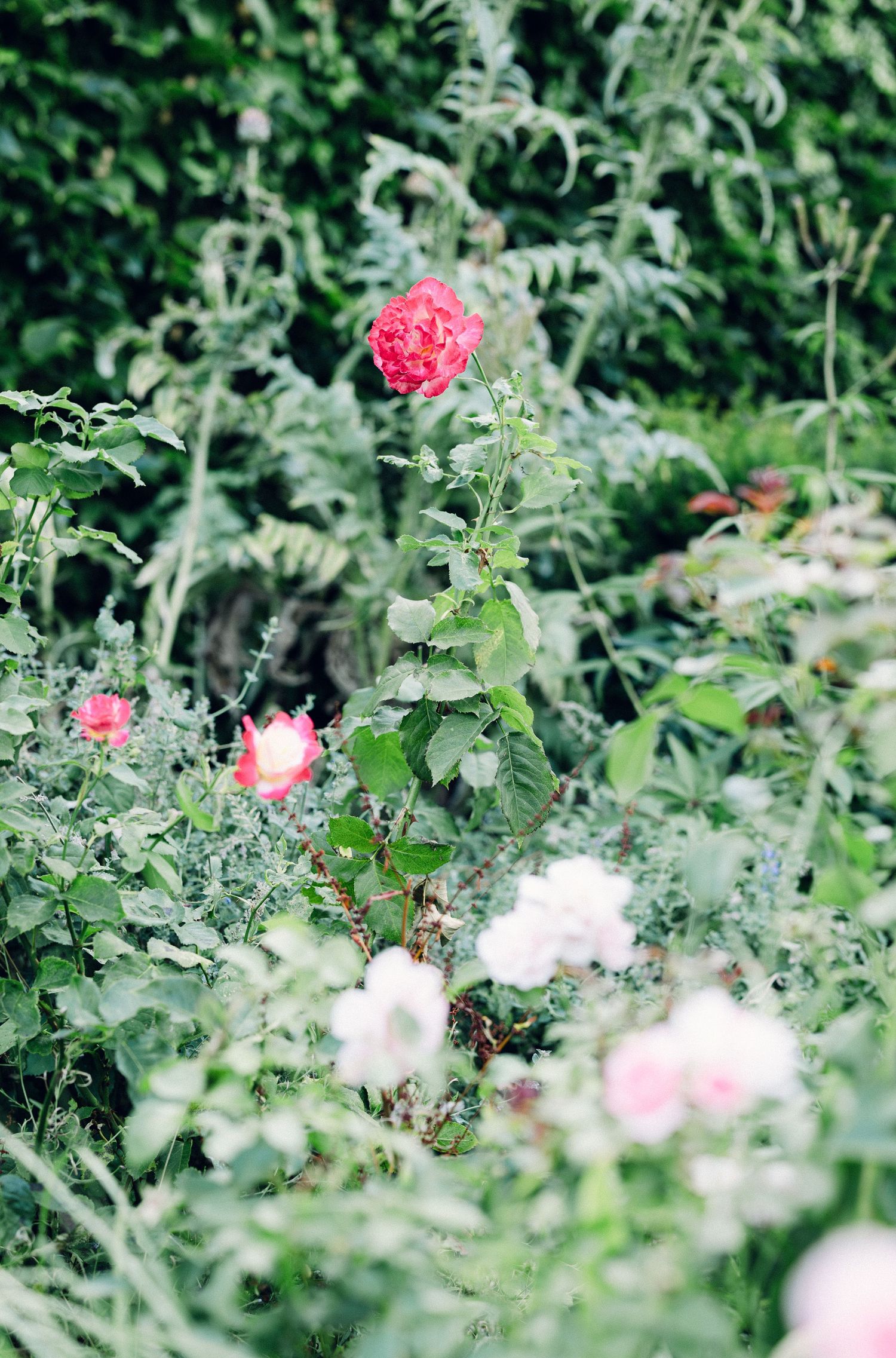 Devon wedding photographer | Cornwall wedding photographer | Dorset wedding photographer | Somerset wedding photographer