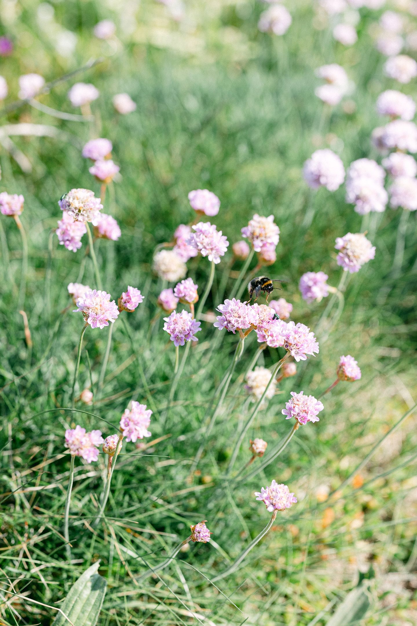 Devon wedding photographer | Cornwall wedding photographer | wedding photographer Cornwall | wedding photographer Devon