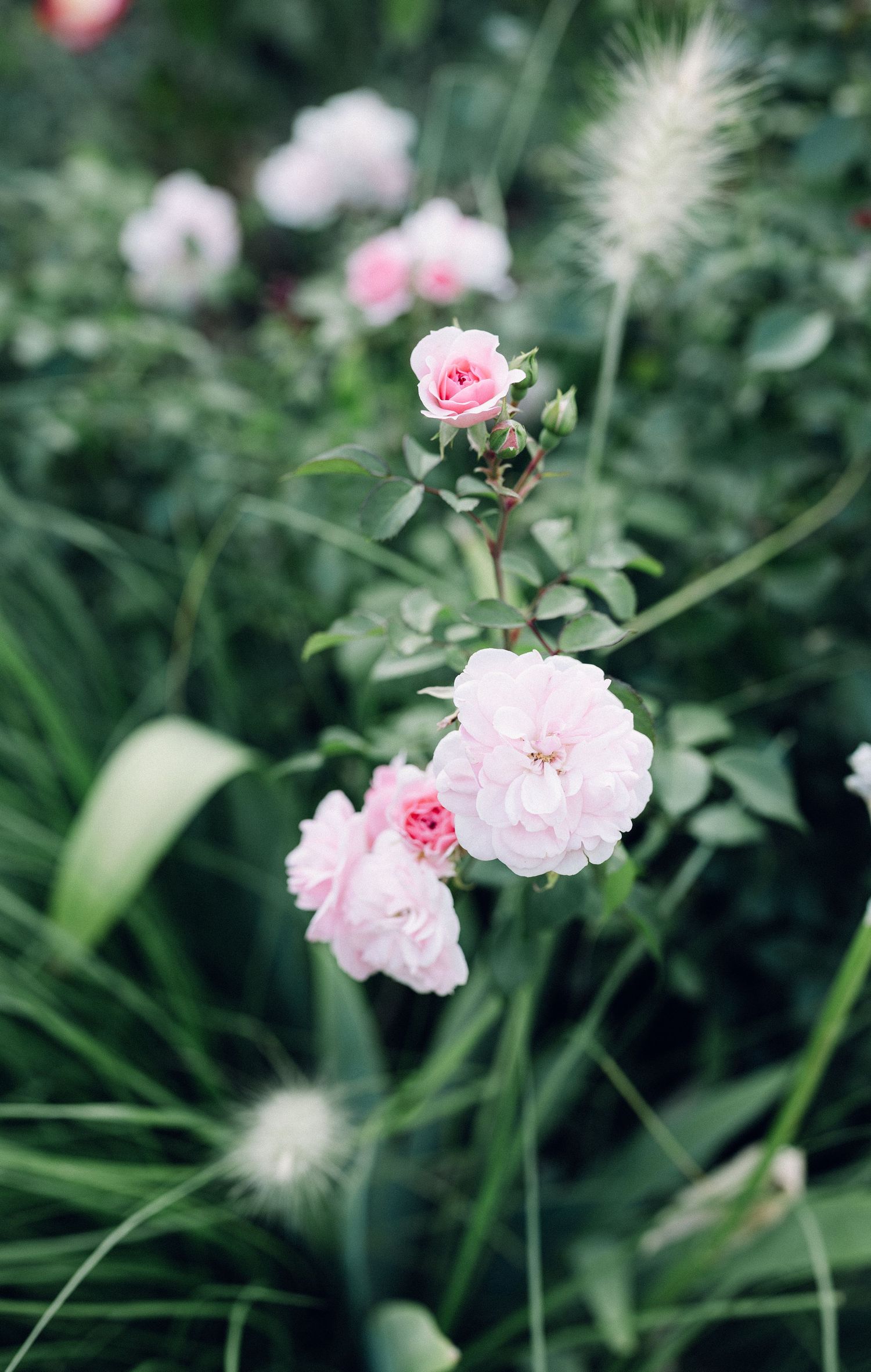 Devon wedding photographer | Cornwall wedding photographer | Dorset wedding photographer | Somerset wedding photographer