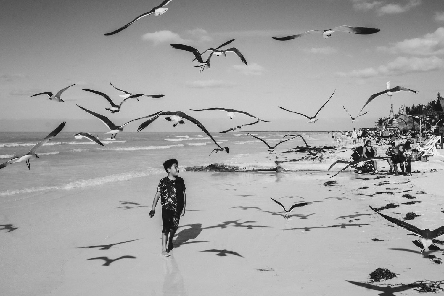 A black and white beach scene with seagulls flying over a sandy shore as someone walks along the water's edge.