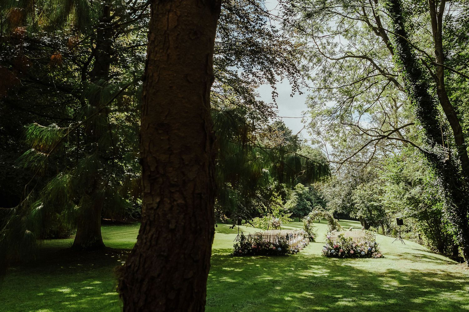 A serene garden wedding venue with lush trees and dappled sunlight.
