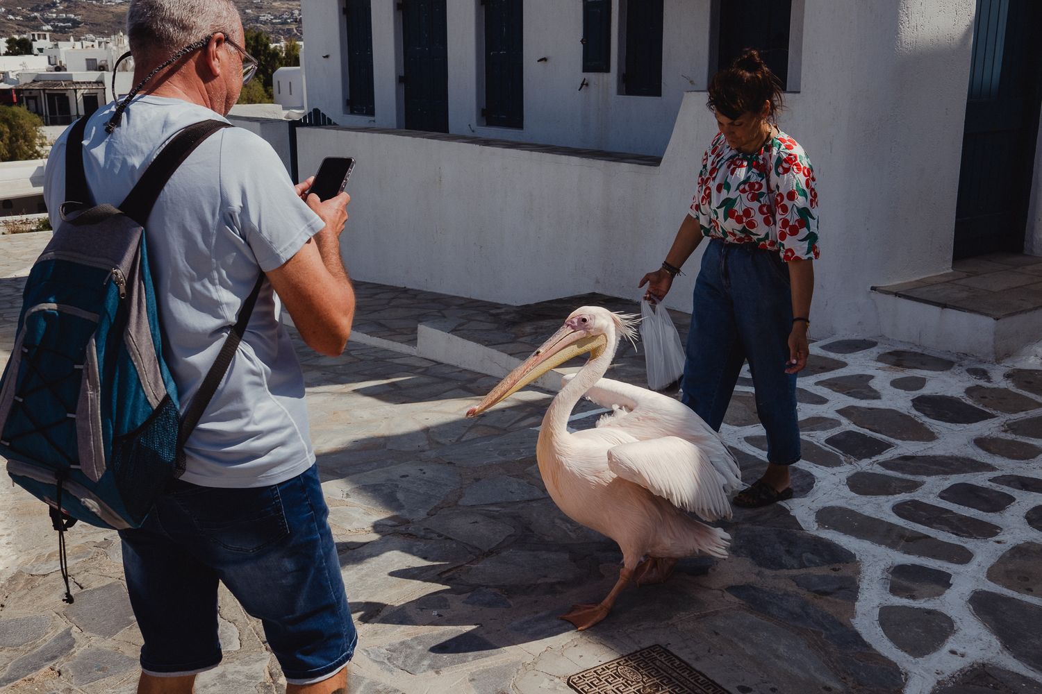 Tourists photograph a large white pelican on a traditional Greek island street with stone paving patterns.