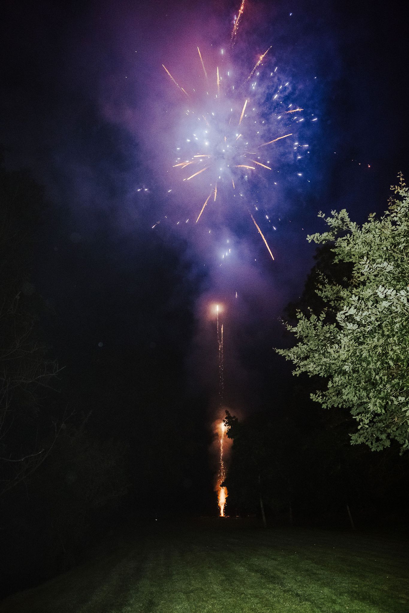 Colorful fireworks burst in the night sky with blue and purple sparks against dark trees.