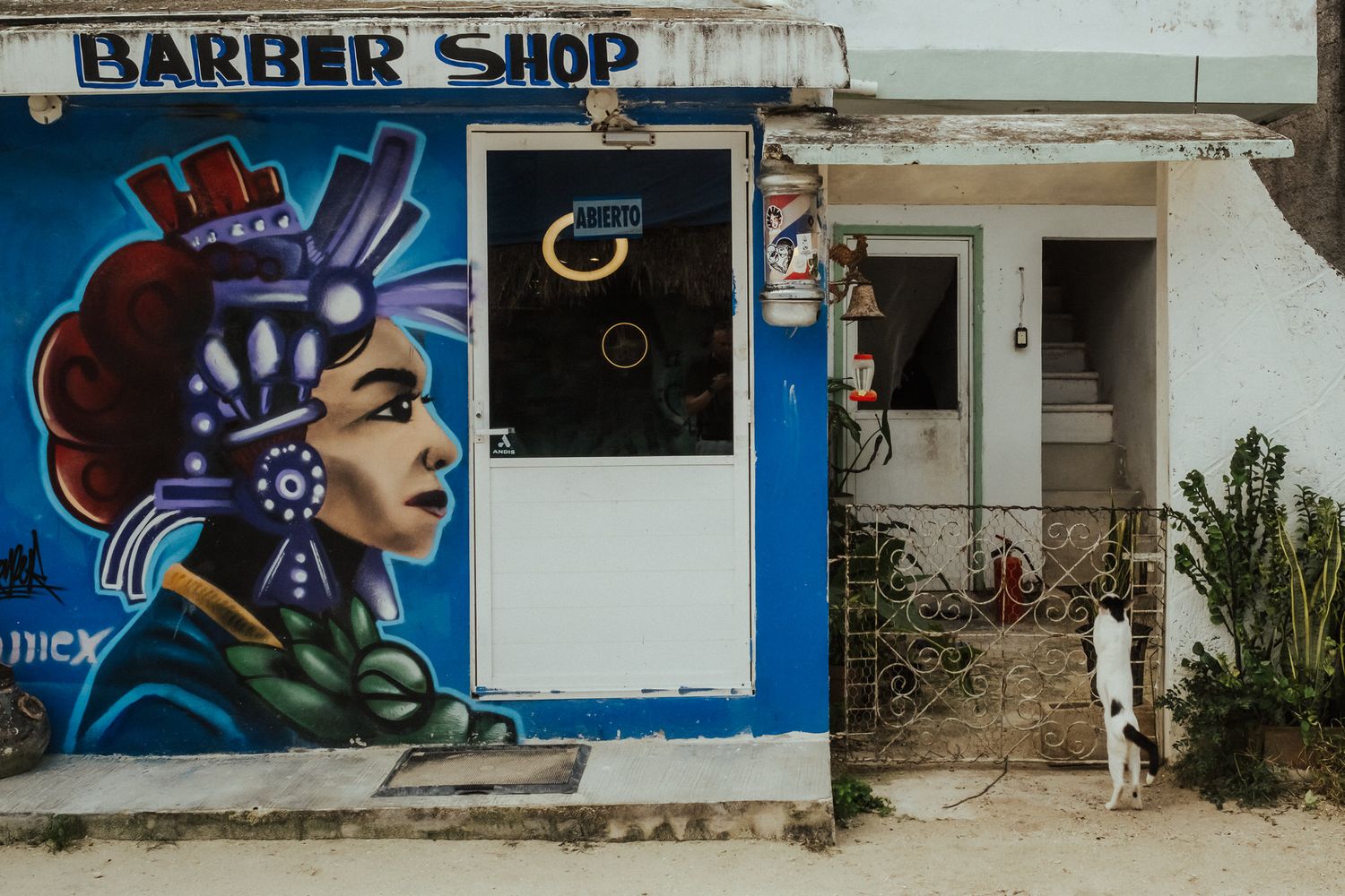 Colorful street art murals decorate the exterior walls of buildings including a barber shop sign and urban artwork.
