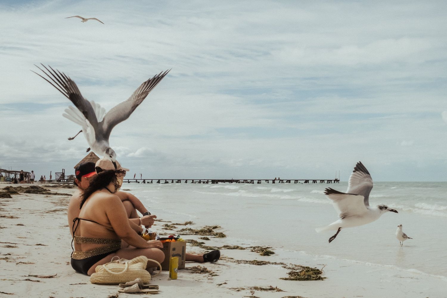 Seagulls fly over a beach while people relax on the sand near the ocean on a cloudy day.