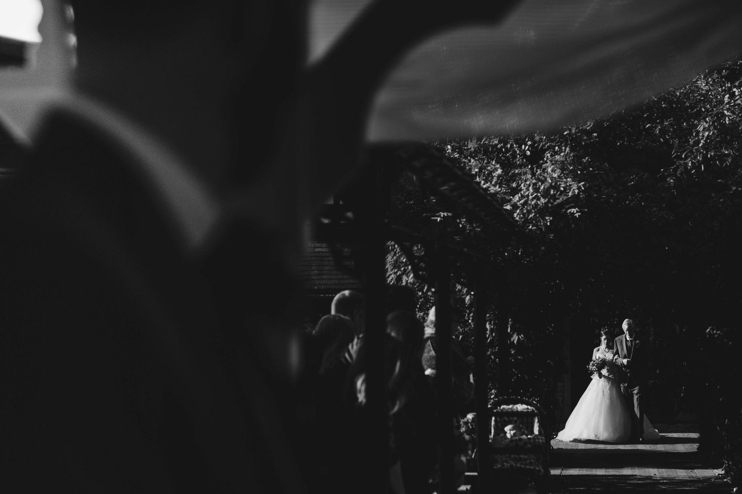 Black and white silhouette of a wedding ceremony with trees in the background.