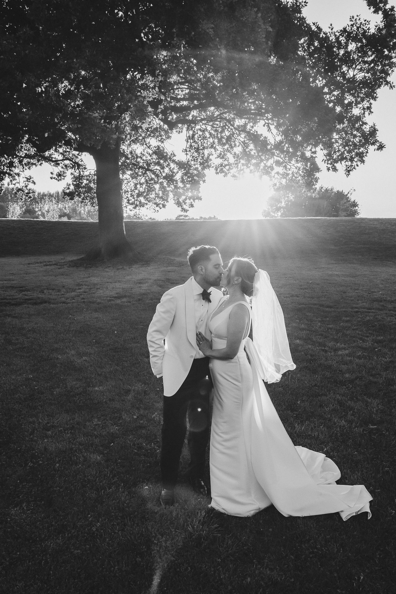 A romantic black and white montage showing a couple kissing in a sun-drenched meadow beneath a towering tree.