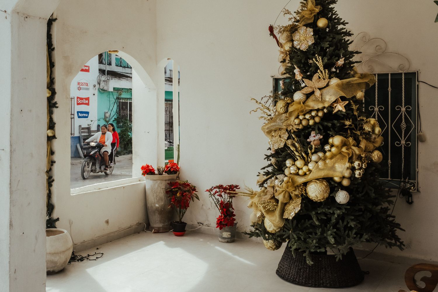 Indoor hallway decorated for Christmas with gold ornaments and poinsettias along a white wall.
