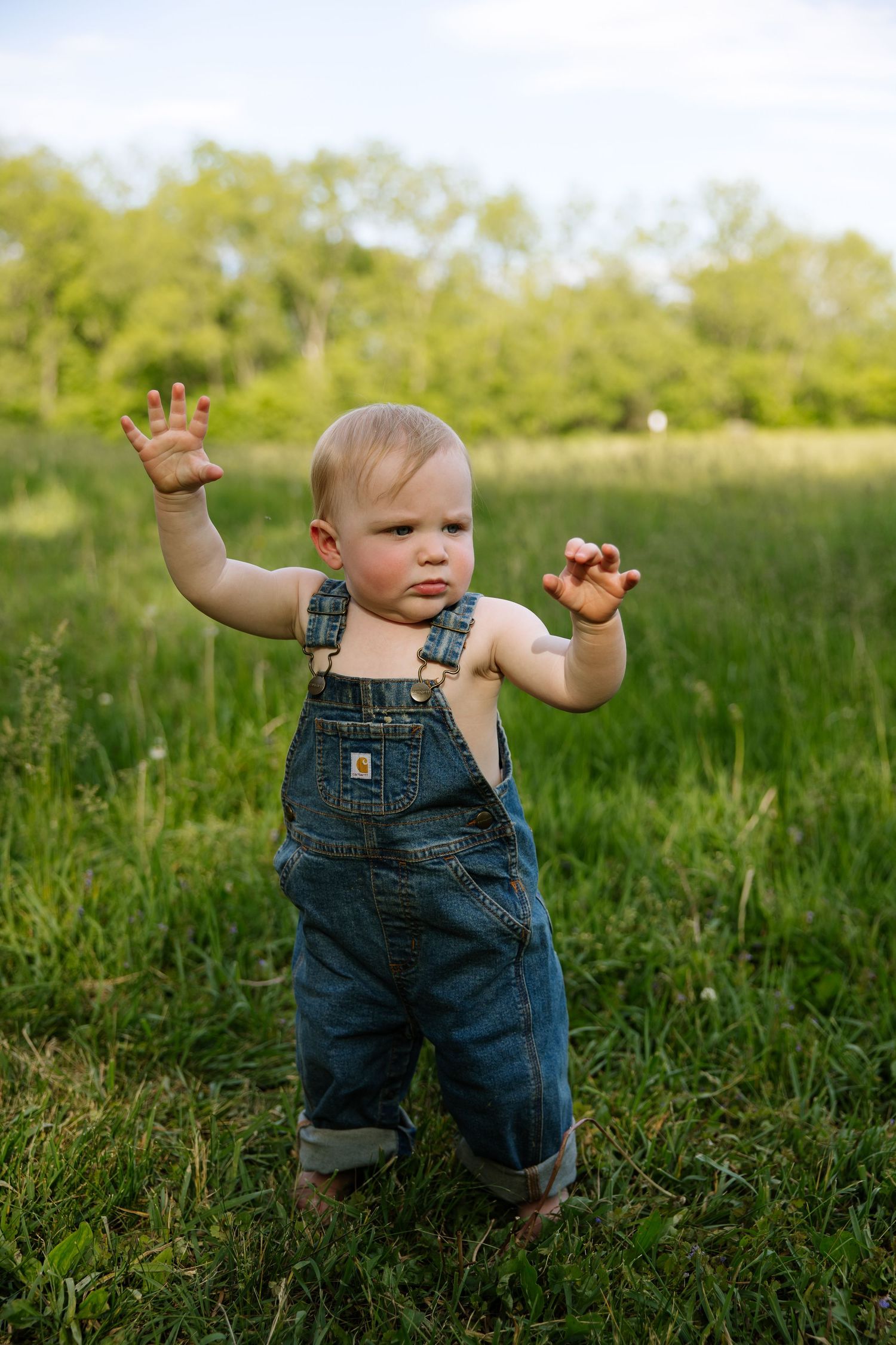 Toddler in denim overalls standing in green field with arms raised, making a fierce expression outdoors.