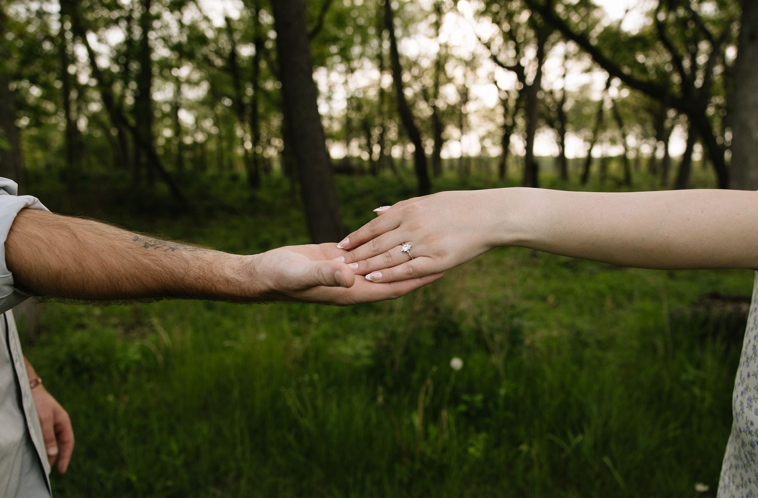 Two people reaching out to touch hands in a lush green forest, with a diamond engagement ring visible on the woman's finger.