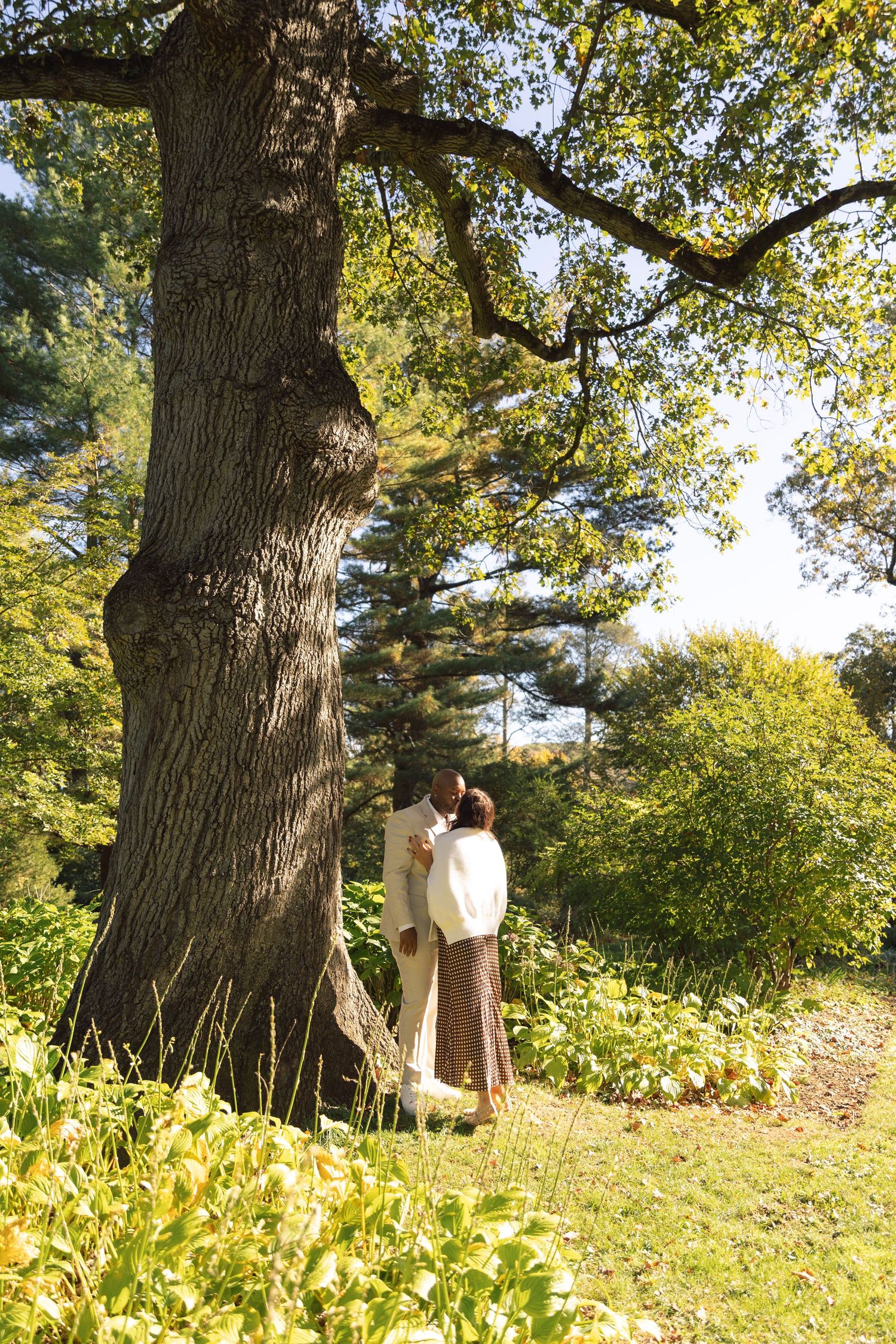 CT Proposal Photography