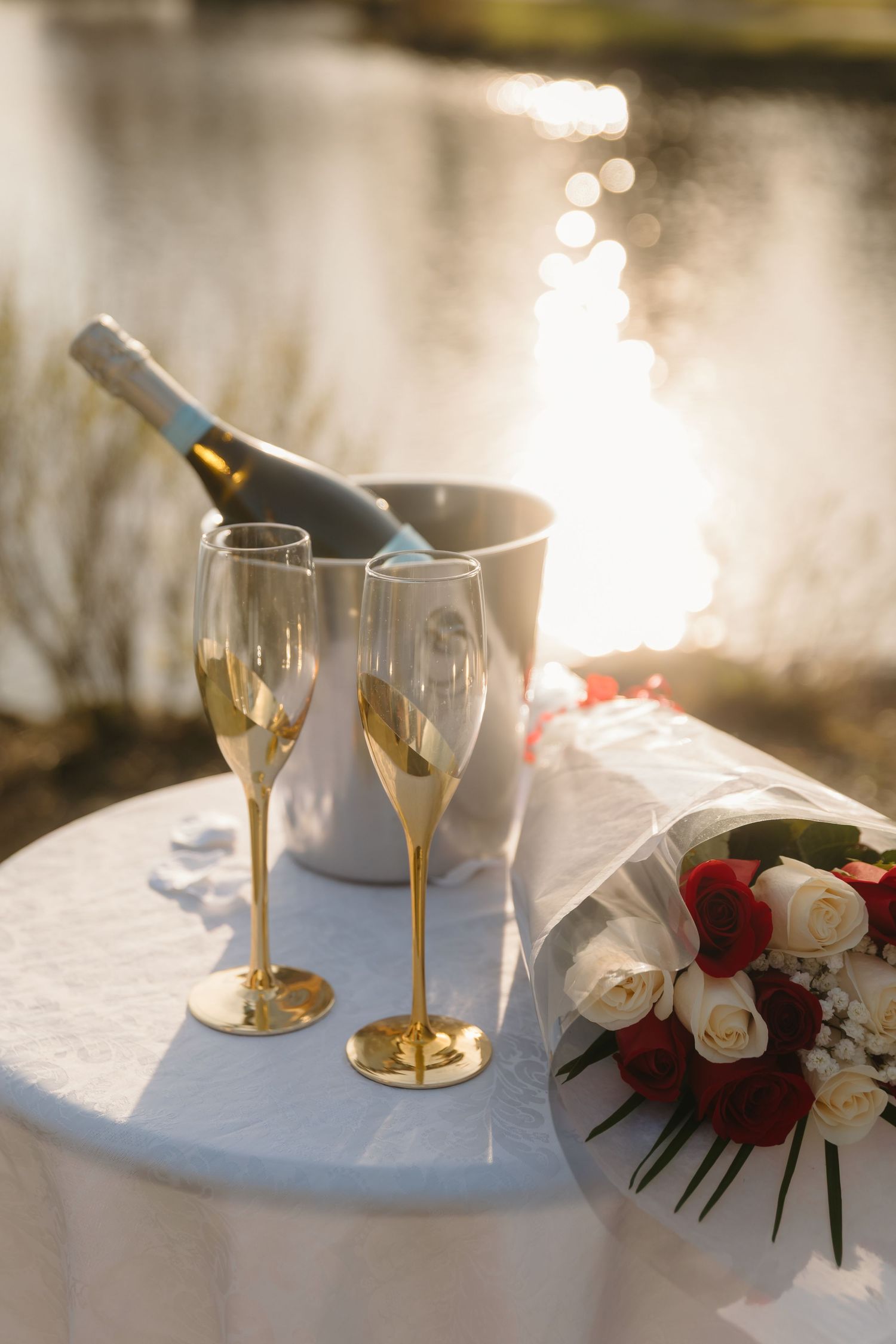 Connecticut Proposal Photography