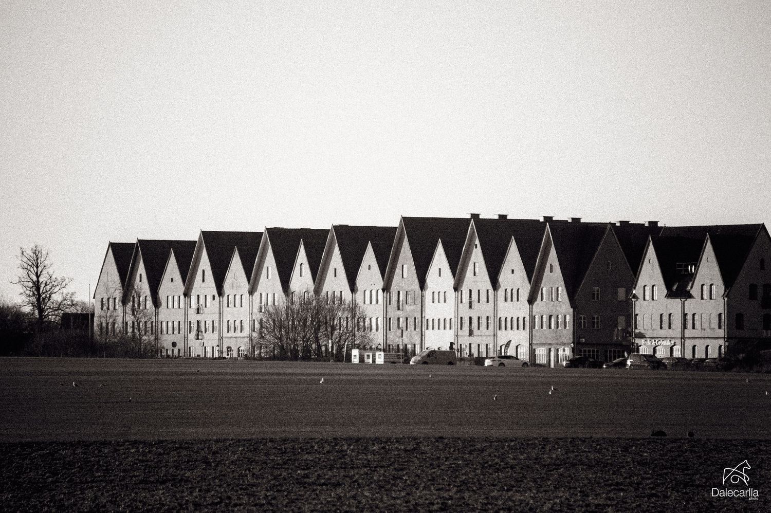 A row of identical white gabled houses with steep roofs stands in stark contrast against a dark sky in black and white.