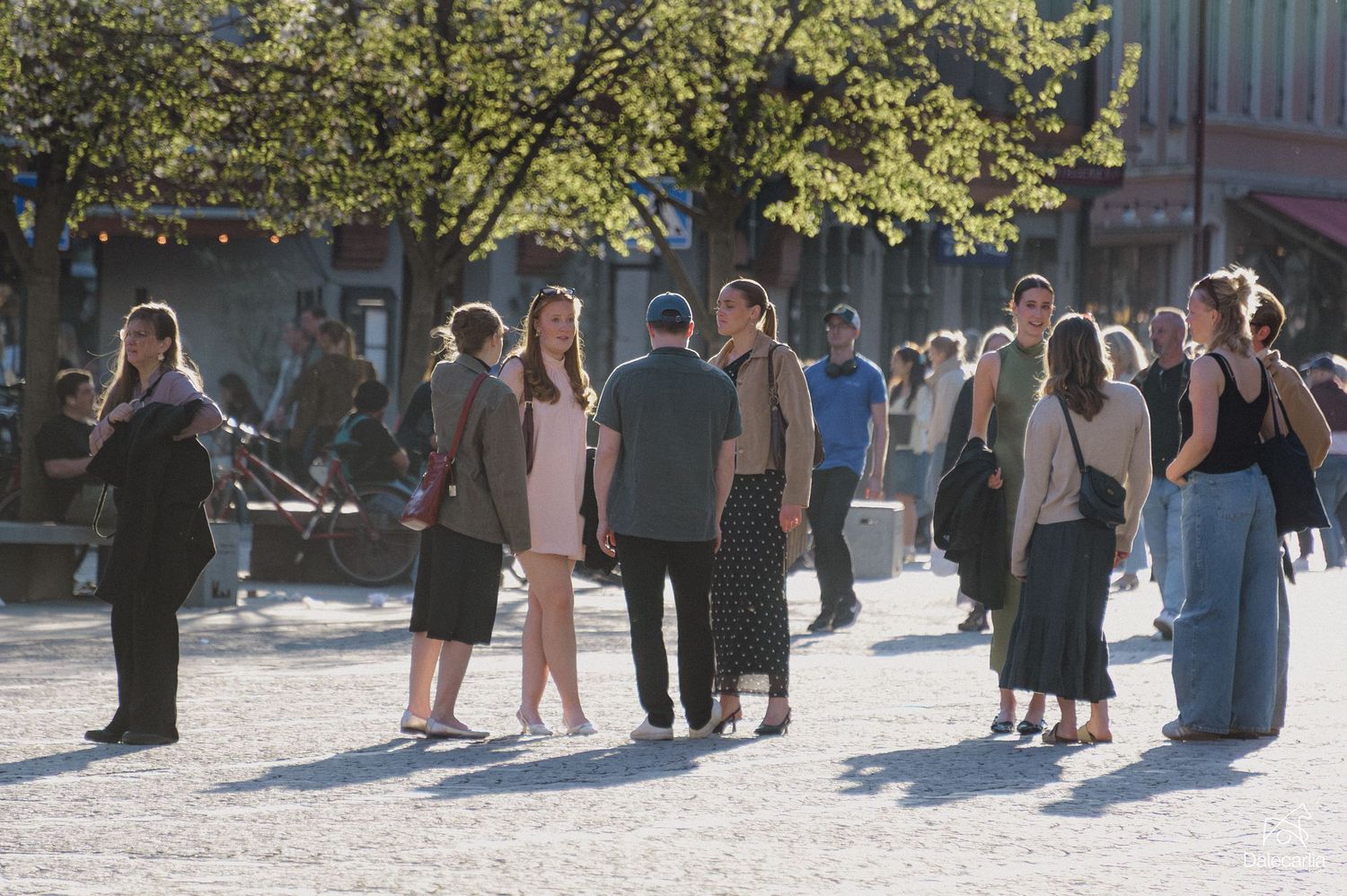People socializing in a sunny town square surrounded by trees and historic buildings on a warm day.