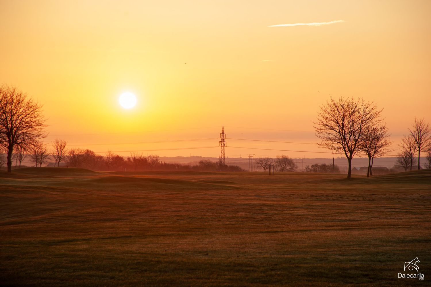 Golden sunset over a green field with bare trees and a distant tower silhouetted against an orange sky.