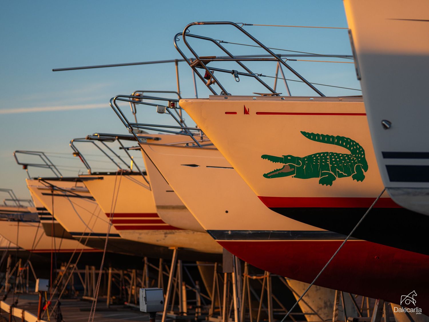 Row of white boats with Lacoste crocodile logo docked at marina during golden hour sunset light.