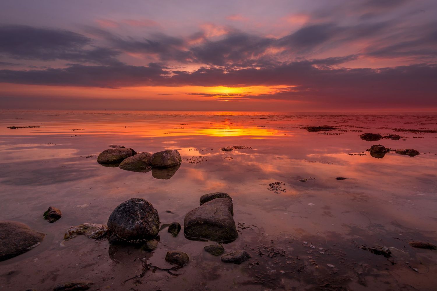 Stunning red and orange sunset over calm ocean waters with rocky shoreline reflecting vibrant colors in the sky.