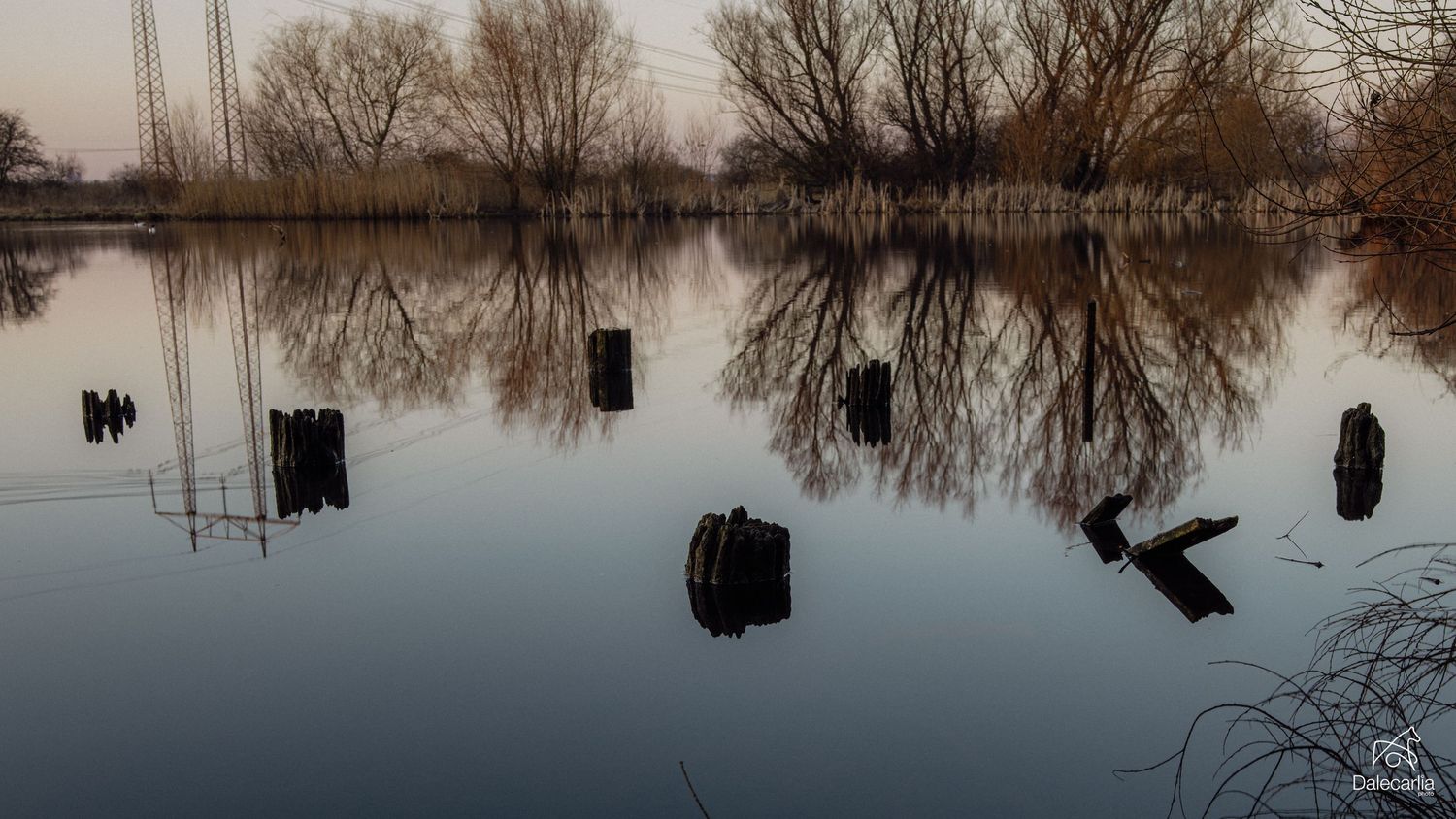 A panoramic winter landscape shows bare trees reflecting in still flood waters during a tranquil morning.